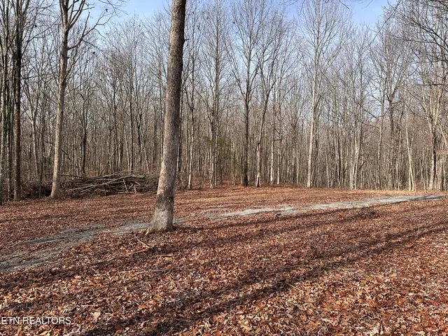 $25,000 | 2.12 Bear Hollow Road, Jamestown, TN 38556