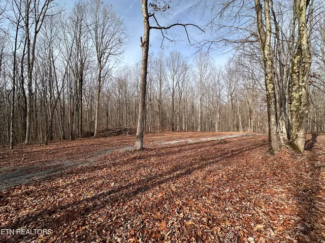 $25,000 | 2.12 Bear Hollow Road, Jamestown, TN 38556