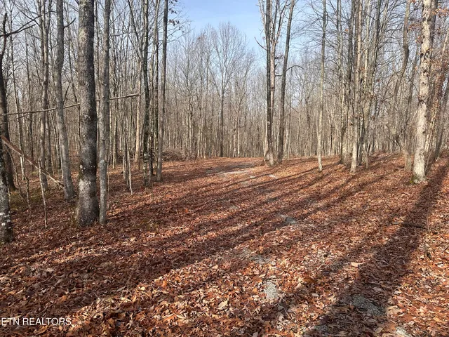 $25,000 | 2.12 Bear Hollow Road, Jamestown, TN 38556