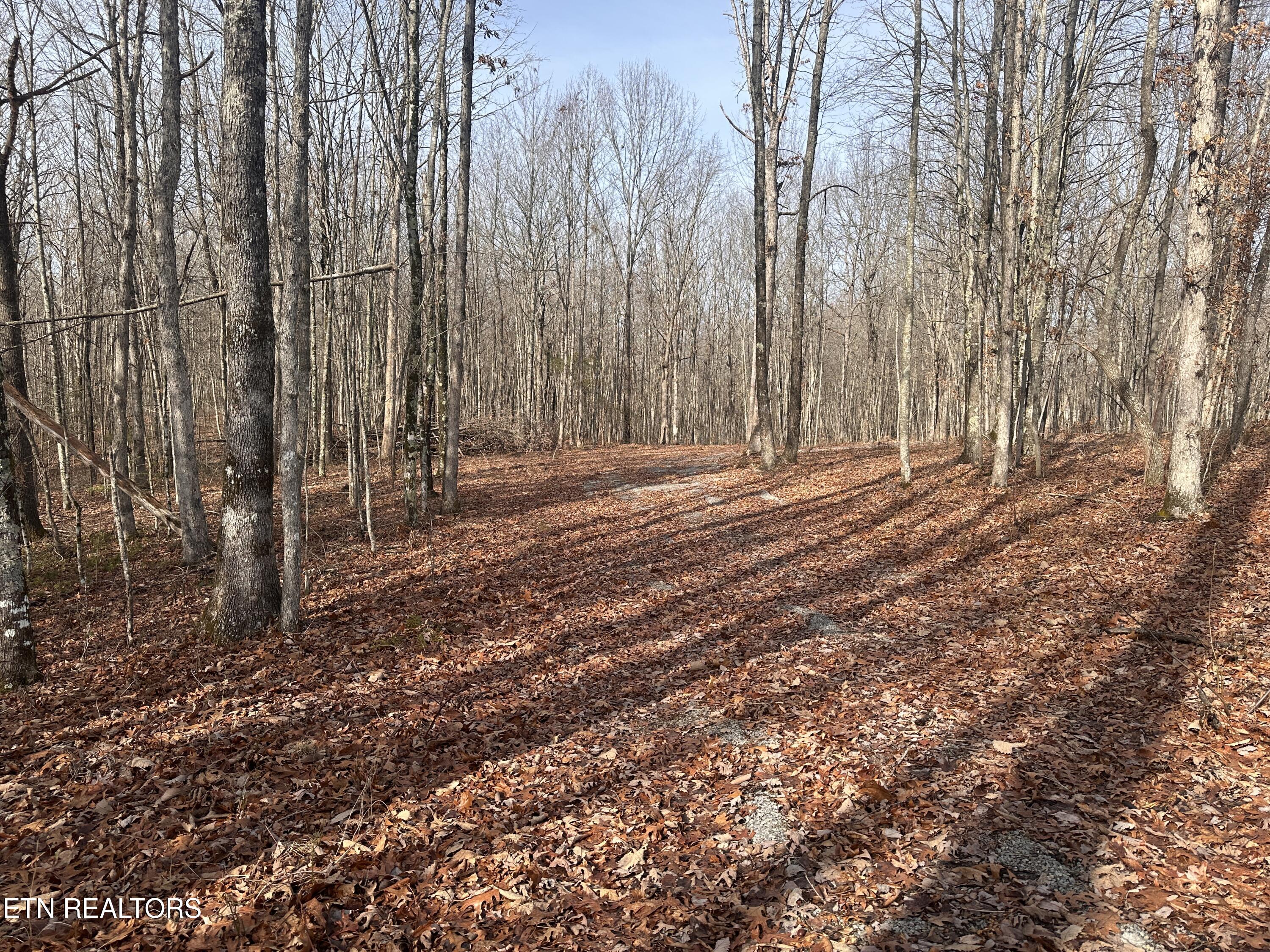 2.12 Bear Hollow Road Jamestown, TN 38556 - Photo 4 of 7 IMG_0568