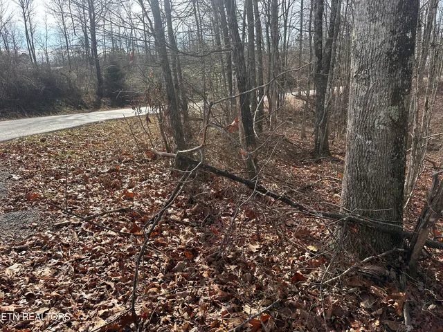 $25,000 | 2.12 Bear Hollow Road, Jamestown, TN 38556