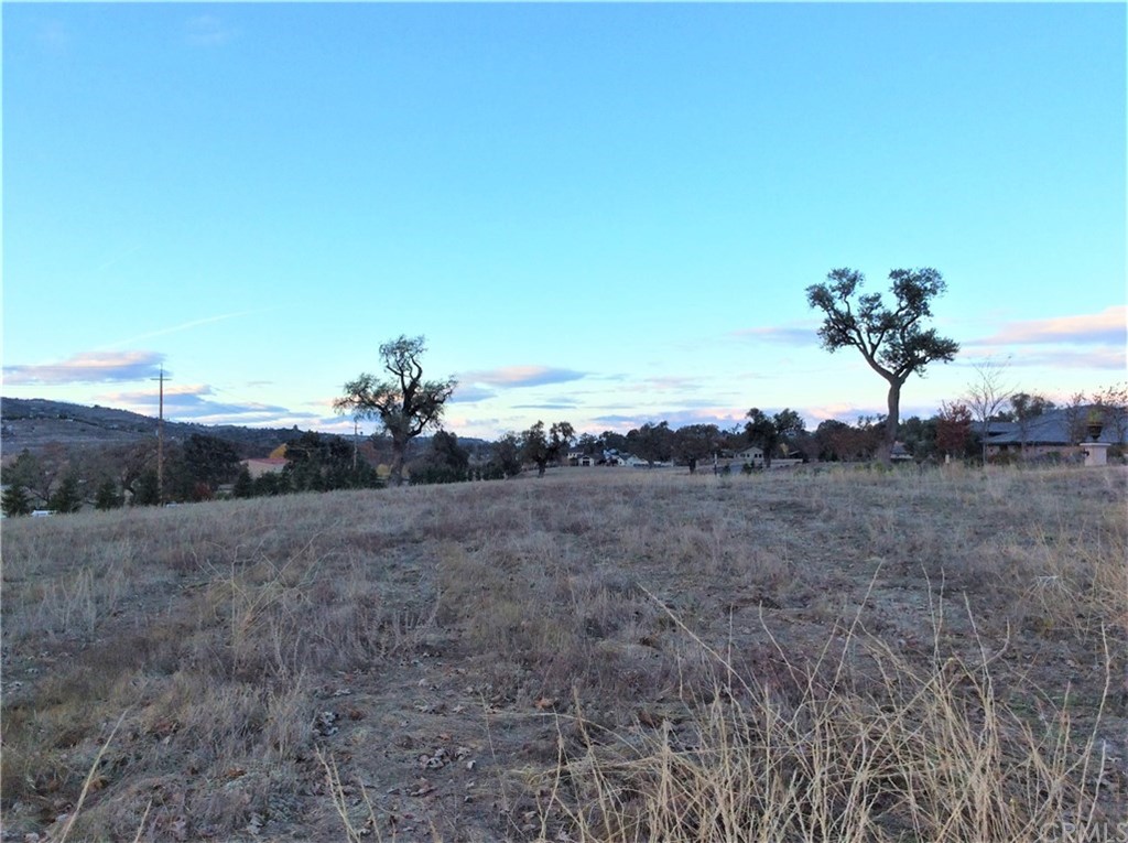 1240 Fire Rock Loop Templeton, CA 93465 - Photo 2 of 7