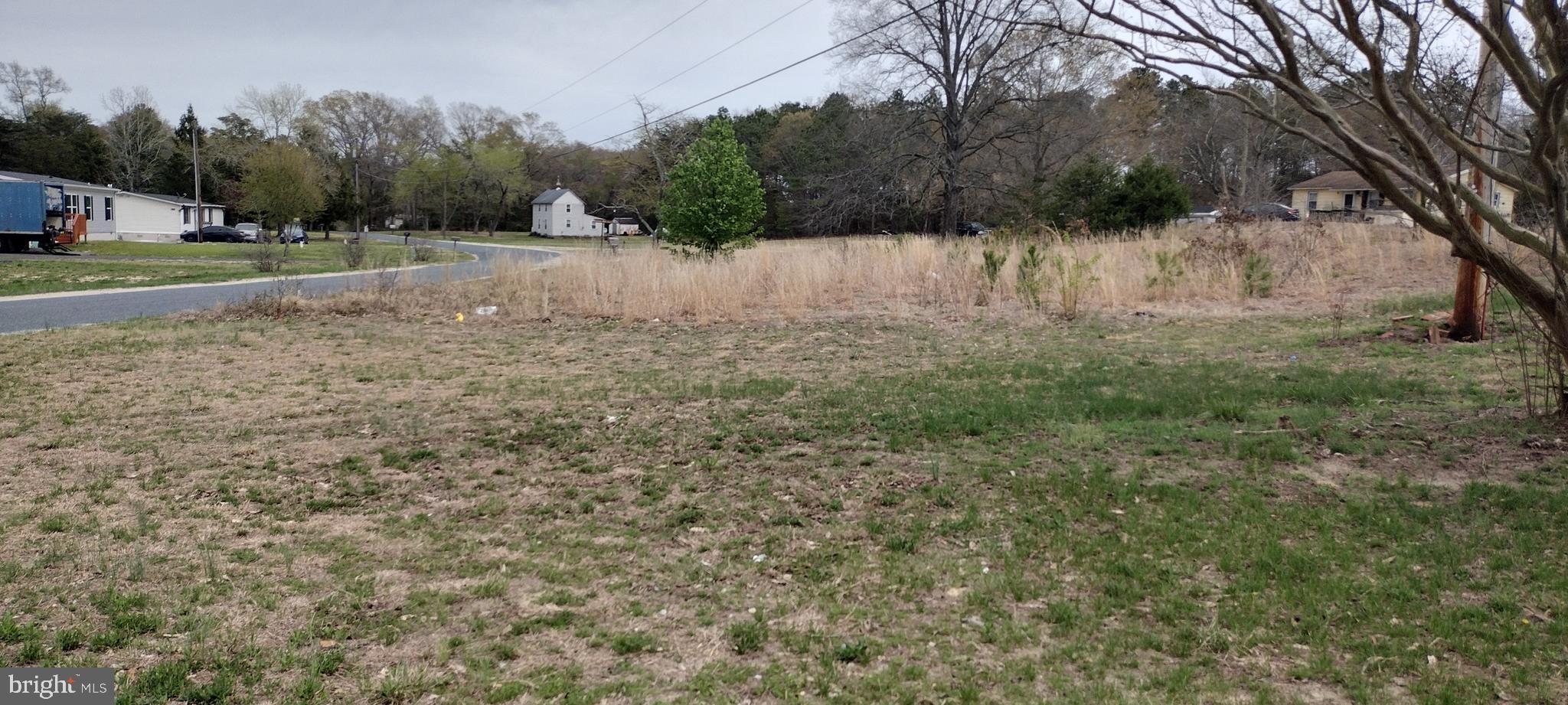 25853 Quinton Road Mardela Springs, MD 21837 - Photo 28 of 53 a view of dirt field with trees in the background