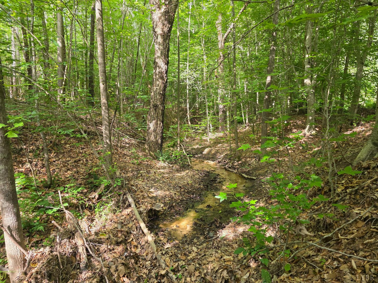 1408 Coleman Mountain Road Appomattox, VA 24522 - Photo 65 of 85