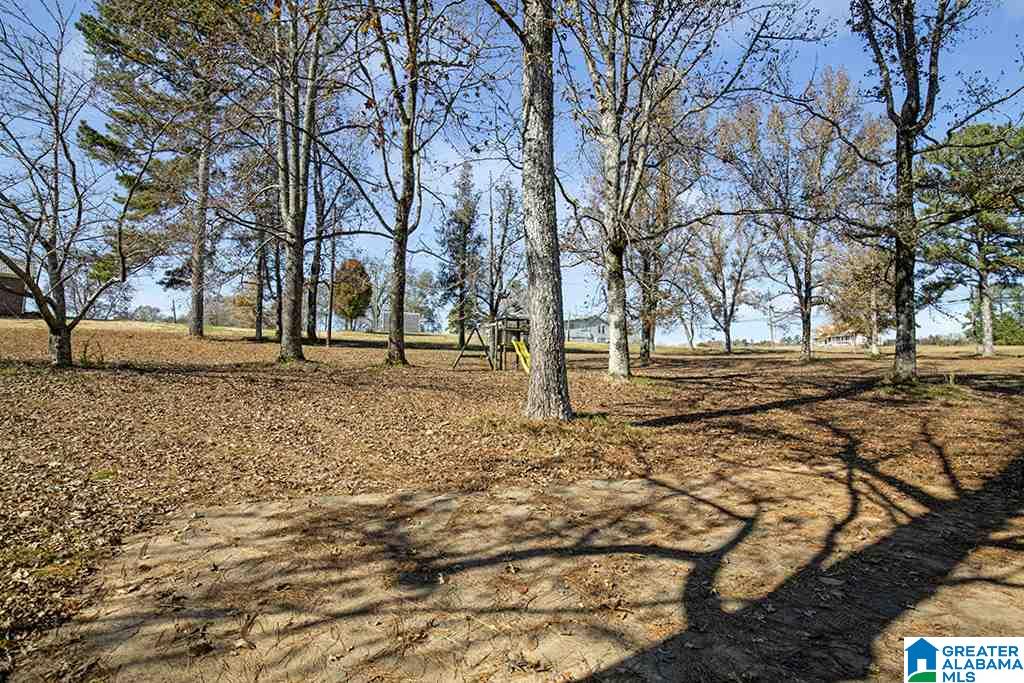 760 Arkadelphia Road Warrior, AL 35180 - Photo 3 of 29