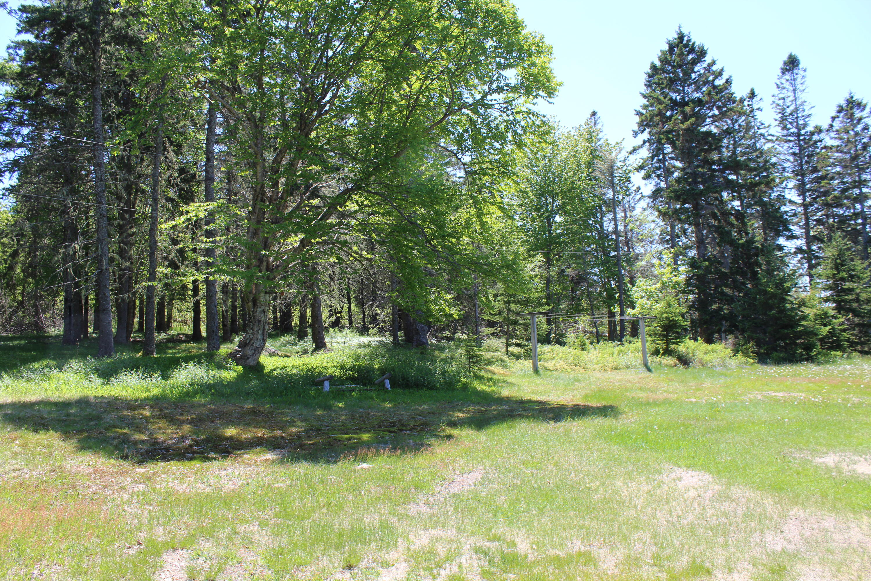 45 Kendall Head Road Eastport, ME 04631 - Photo 83 of 117 IMG_7061