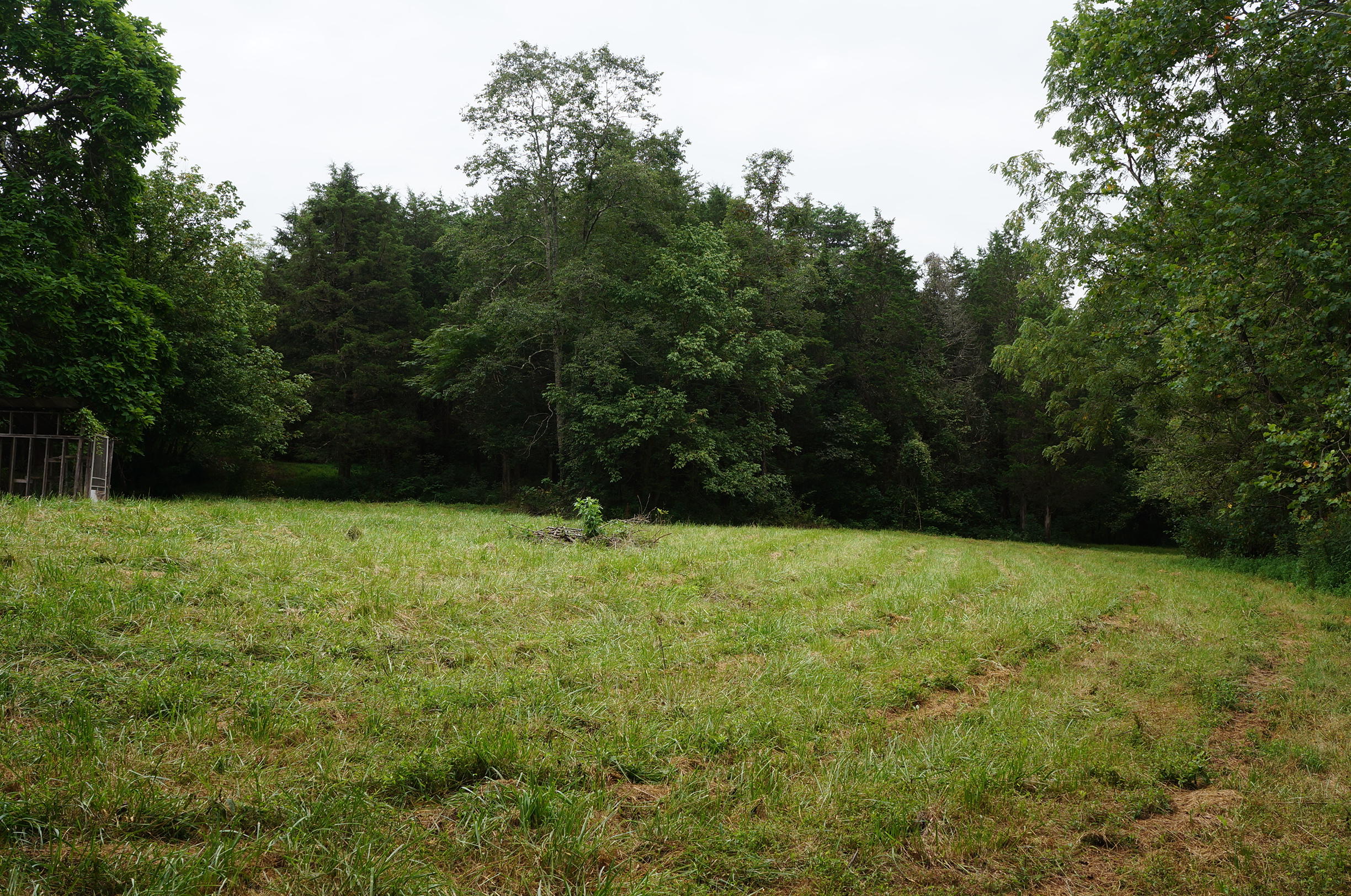 533 Allen Branch Road Eagle Rock, VA 24085 - Photo 7 of 8 DSC01340