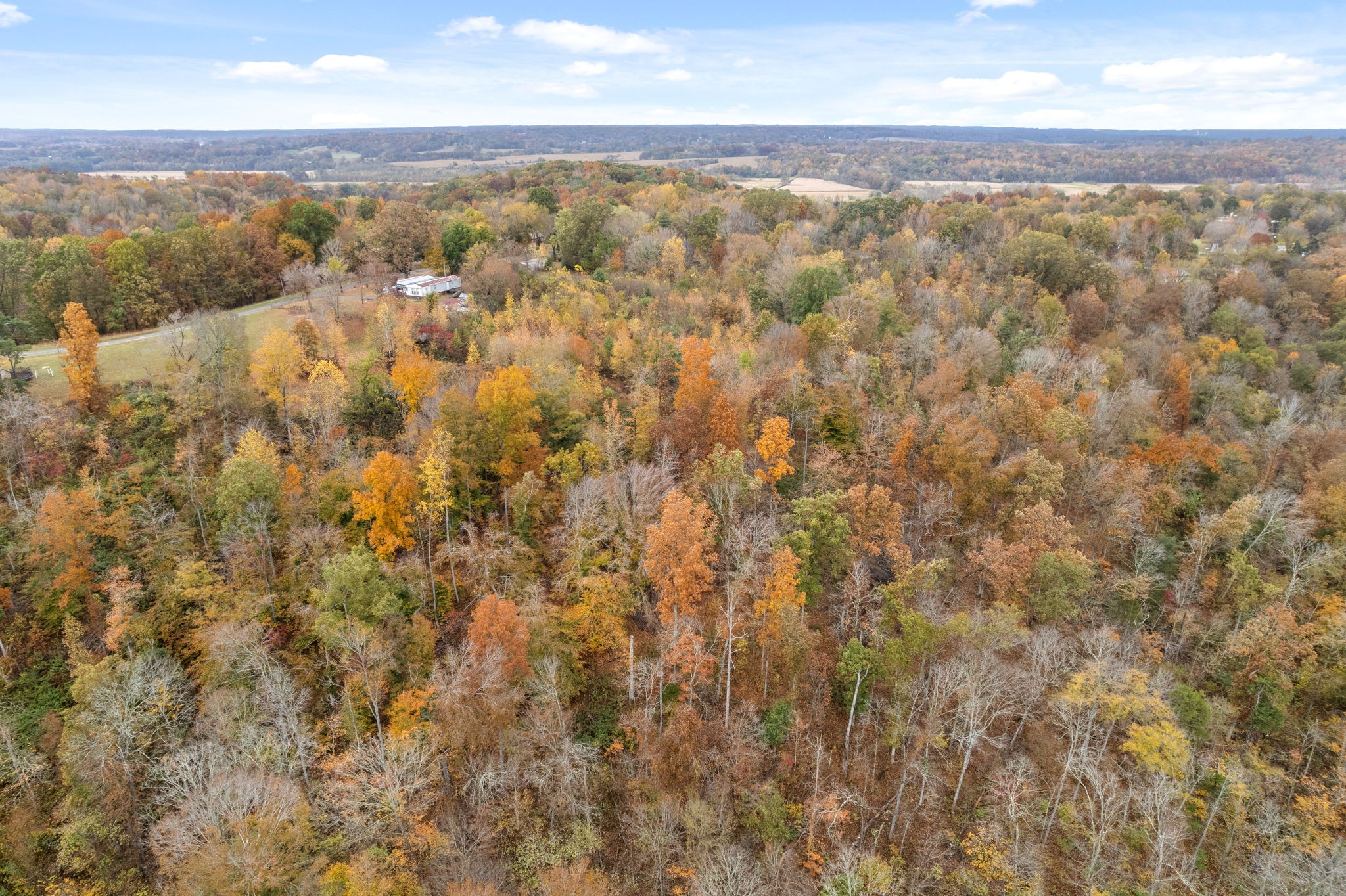 2850 Palmyra Road Palmyra, TN 37142 - Photo 3 of 15 Gallery Image 3