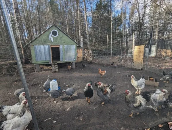 $339,000 | 1031 Ladd Road, Concord, VT 05824