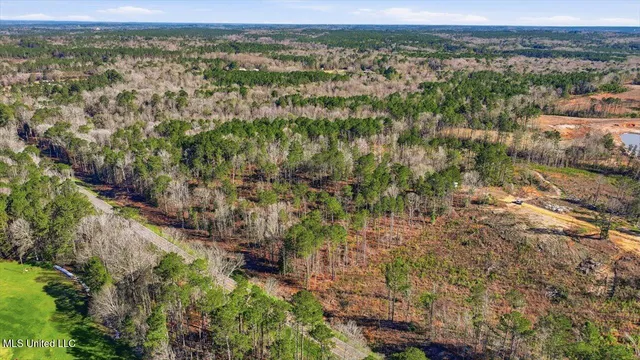 $50,000 | 120 Mary-Bertie Drive, Mendenhall, MS 39114