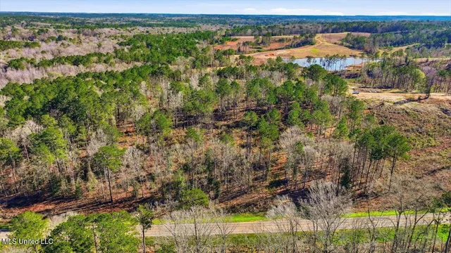 $50,000 | 120 Mary-Bertie Drive, Mendenhall, MS 39114