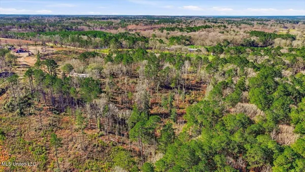 $50,000 | 120 Mary-Bertie Drive, Mendenhall, MS 39114