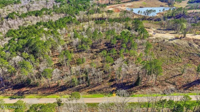 $50,000 | 120 Mary-Bertie Drive, Mendenhall, MS 39114