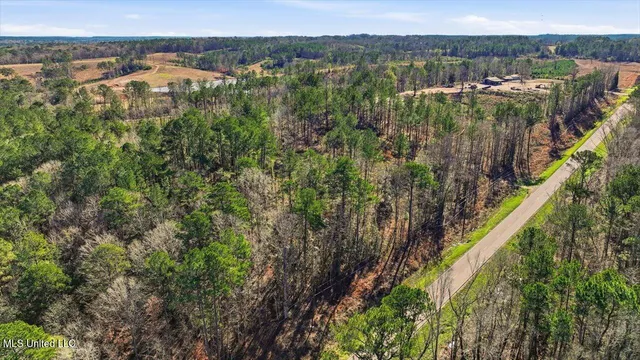 $50,000 | 120 Mary-Bertie Drive, Mendenhall, MS 39114
