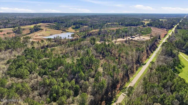 $50,000 | 120 Mary-Bertie Drive, Mendenhall, MS 39114