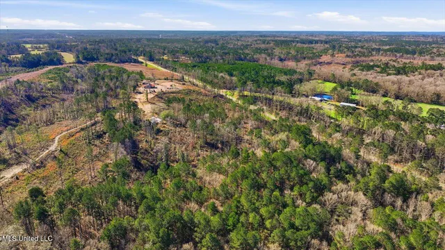 $50,000 | 120 Mary-Bertie Drive, Mendenhall, MS 39114