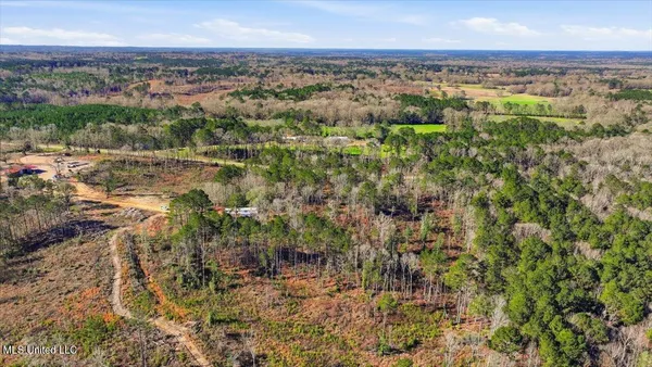 $50,000 | 120 Mary-Bertie Drive, Mendenhall, MS 39114