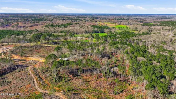 $50,000 | 120 Mary-Bertie Drive, Mendenhall, MS 39114