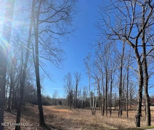 $78,500 | 0 Austin Road, Lake Cormorant, MS 38641