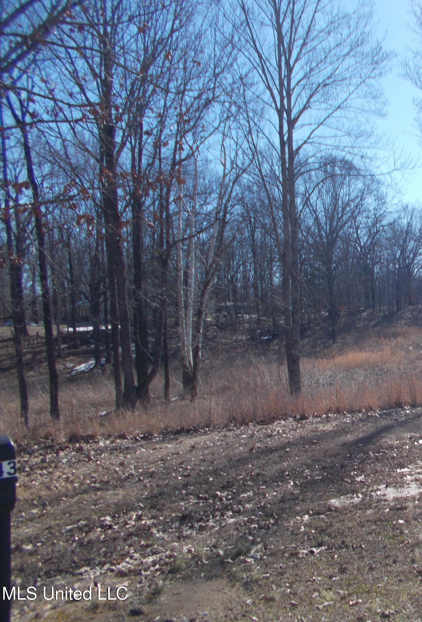 0 Austin Road Lake Cormorant, MS 38641 - Photo 11 of 12 DSCN0502