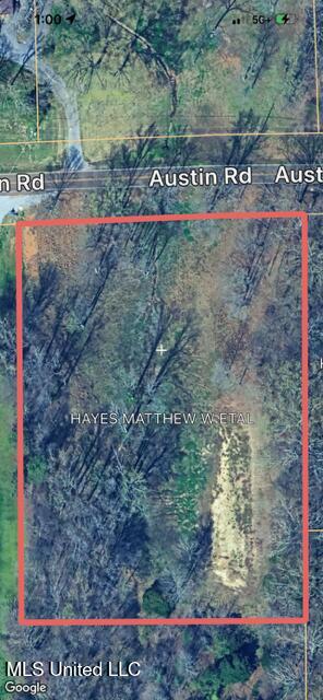 0 Austin Road Lake Cormorant, MS 38641 - Photo 12 of 12 Birds Eye View