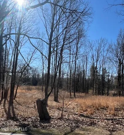 $78,500 | 0 Austin Road, Lake Cormorant, MS 38641