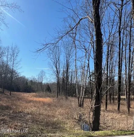 $78,500 | 0 Austin Road, Lake Cormorant, MS 38641