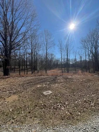 $78,500 | 0 Austin Road, Lake Cormorant, MS 38641