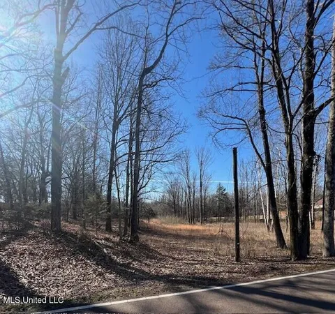 $78,500 | 0 Austin Road, Lake Cormorant, MS 38641
