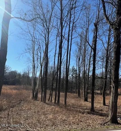$78,500 | 0 Austin Road, Lake Cormorant, MS 38641