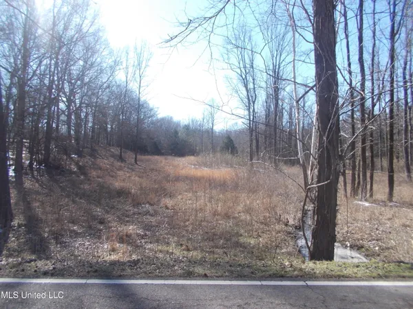 $78,500 | 0 Austin Road, Lake Cormorant, MS 38641