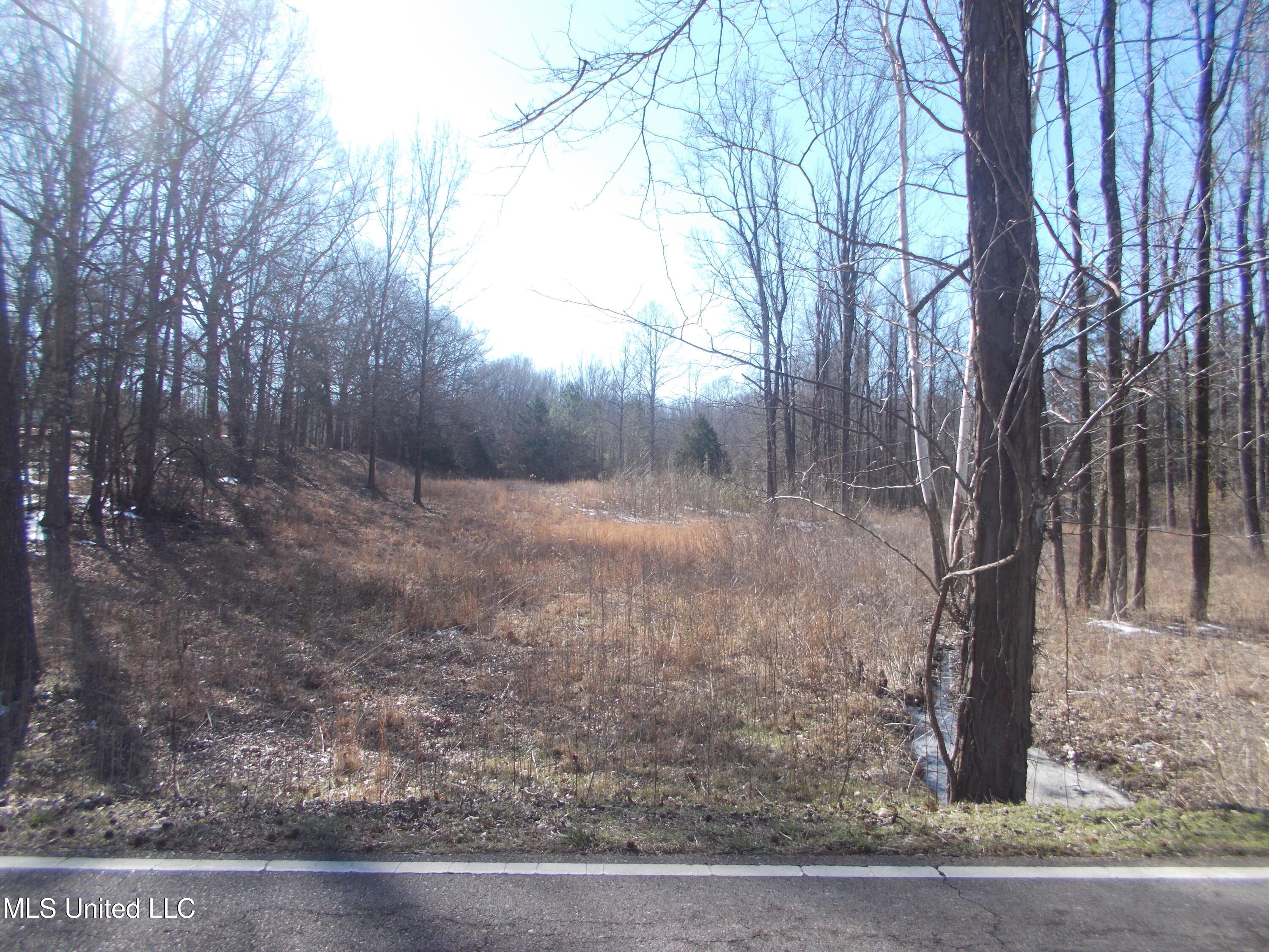 0 Austin Road Lake Cormorant, MS 38641 - Photo 7 of 12 DSCN0498
