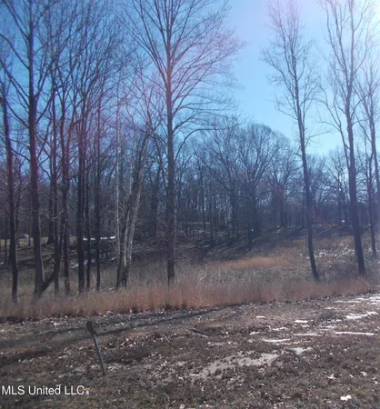 $78,500 | 0 Austin Road, Lake Cormorant, MS 38641