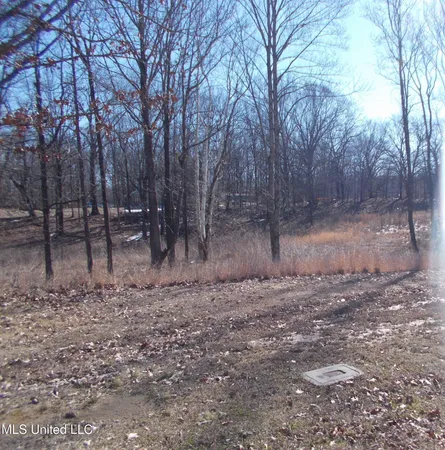 $78,500 | 0 Austin Road, Lake Cormorant, MS 38641