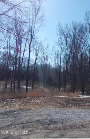 $78,500 | 0 Austin Road, Lake Cormorant, MS 38641