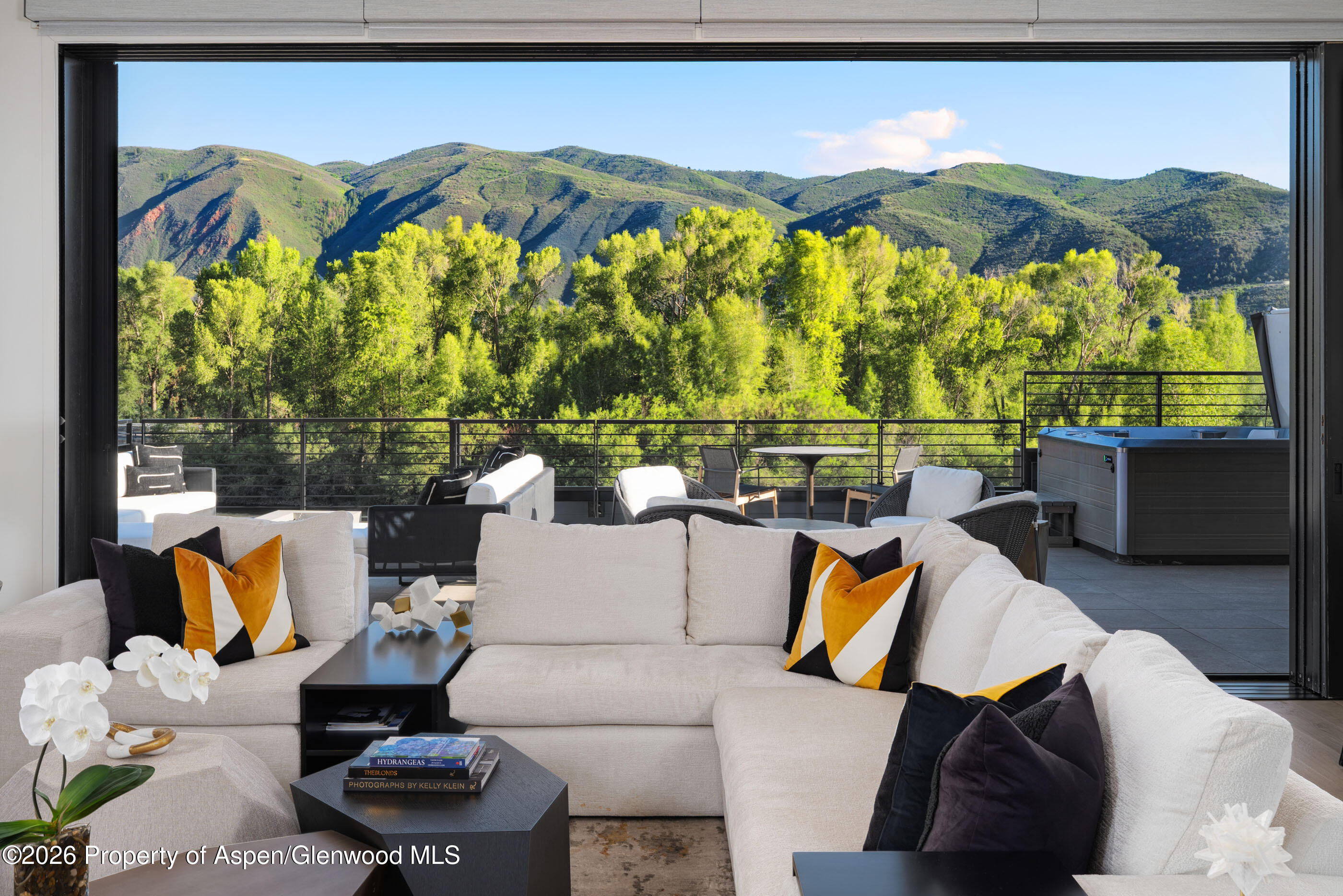 22860 2 Rivers Road, Unit PH Basalt, CO 81621 - Photo 1 of 22 living room