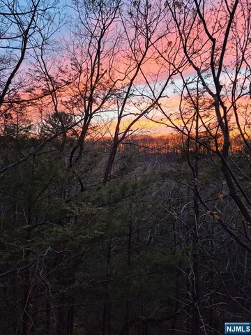 a view of trees in a yard