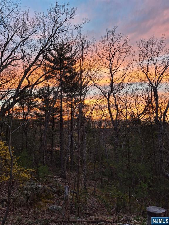 Rock Ledge Road West Milford, NJ 07480 - Photo 8 of 9 a backyard of a house with lots of green space