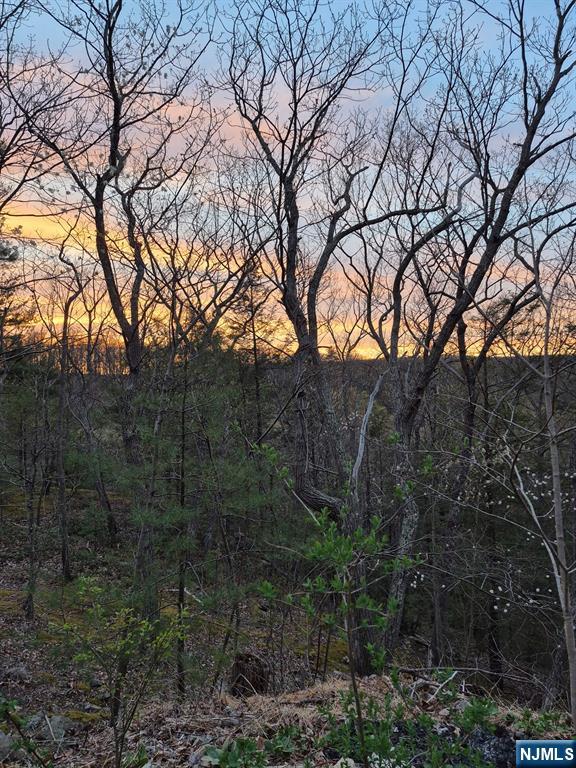 Rock Ledge Road West Milford, NJ 07480 - Photo 9 of 9 a view of a forest with trees