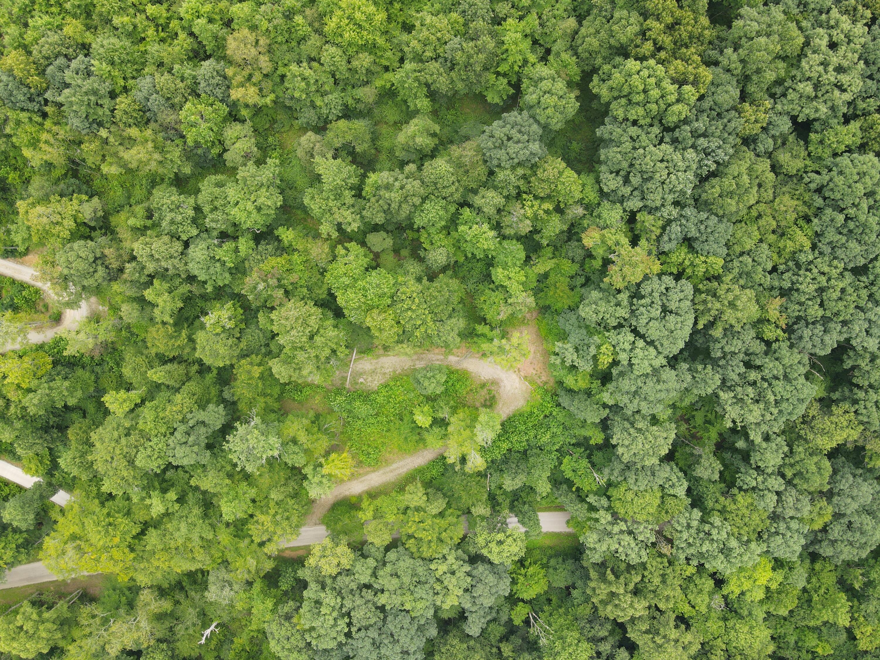 20036 Culp Road Logan, OH 43138 - Photo 37 of 39 dji_fly_20230720_122418_709_168987029419