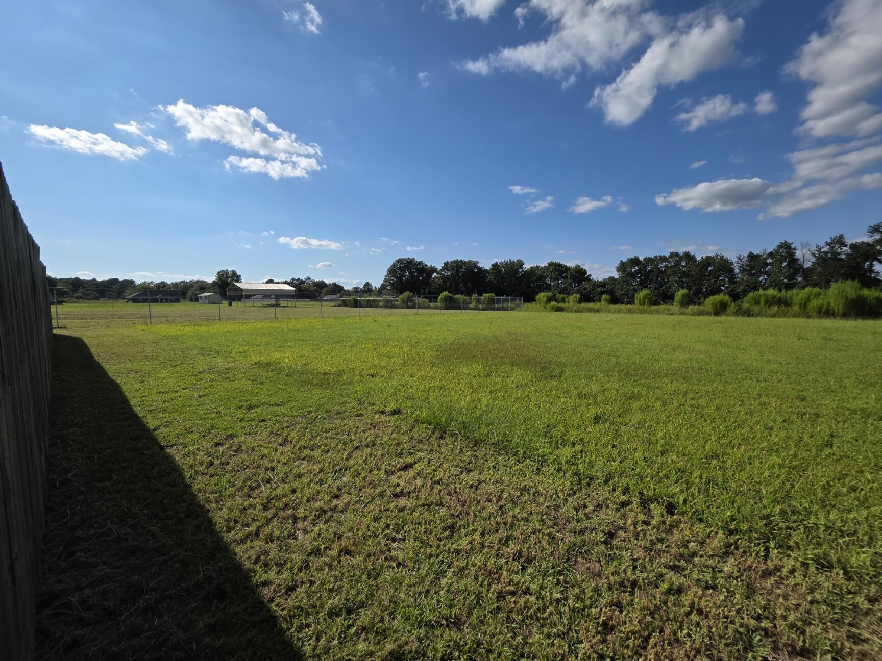 4105 Queen Chapel Road Dalzell, SC 29040 - Photo 38 of 40 Gallery Image 38