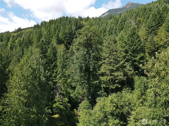 $499,900 | 0 Cannon Road, Packwood, WA 98361