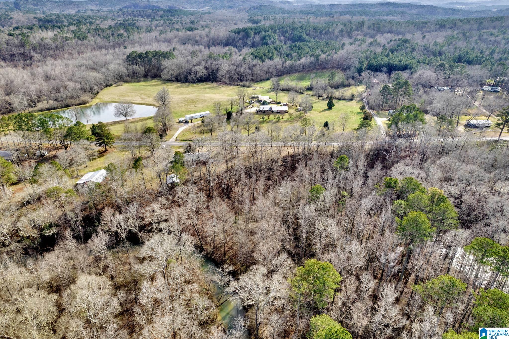 4981 Snowville Brent Road Dora, AL 35062 - Photo 35 of 36 Gallery Image 35