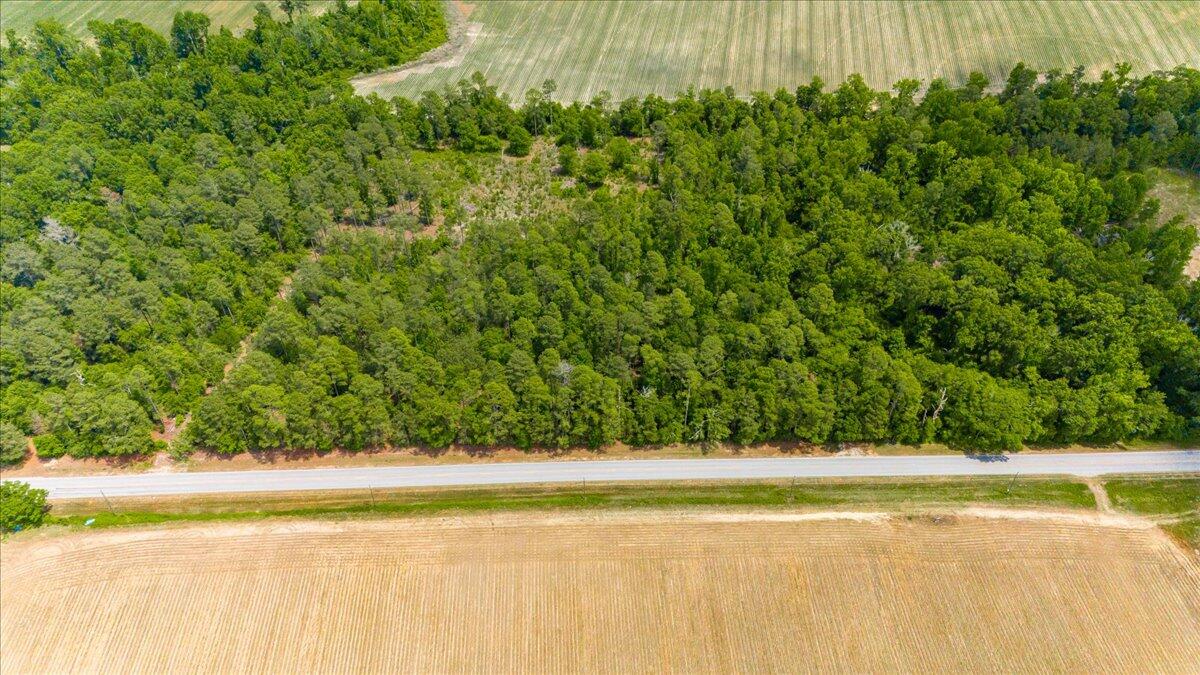 0 Herndon Road Waynesboro, GA 30830 - Photo 11 of 12 04-002-