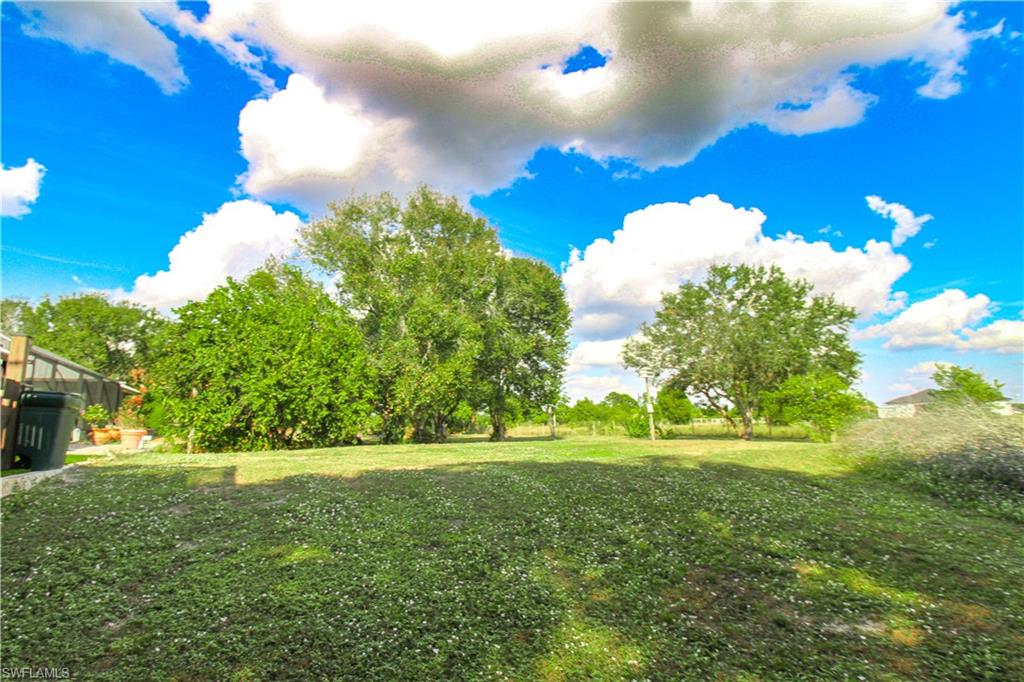 3935 70th Avenue Northeast Naples, FL 34120 - Photo 16 of 50 a view of a big yard
