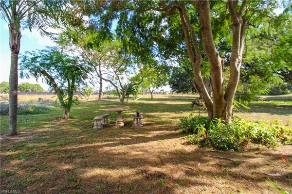 a view of a yard with an tree