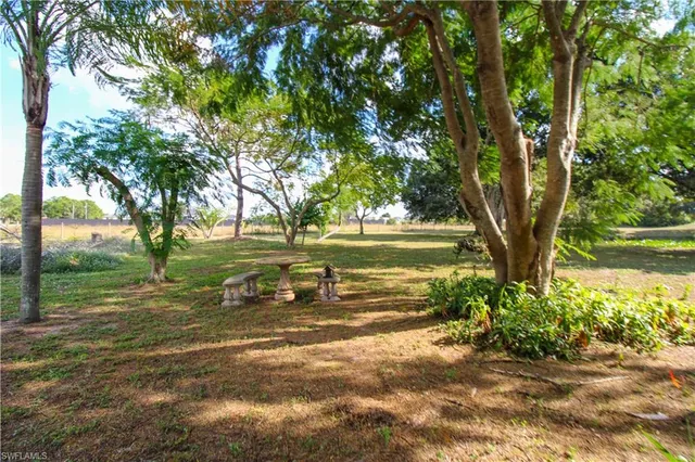 a view of a yard with an tree