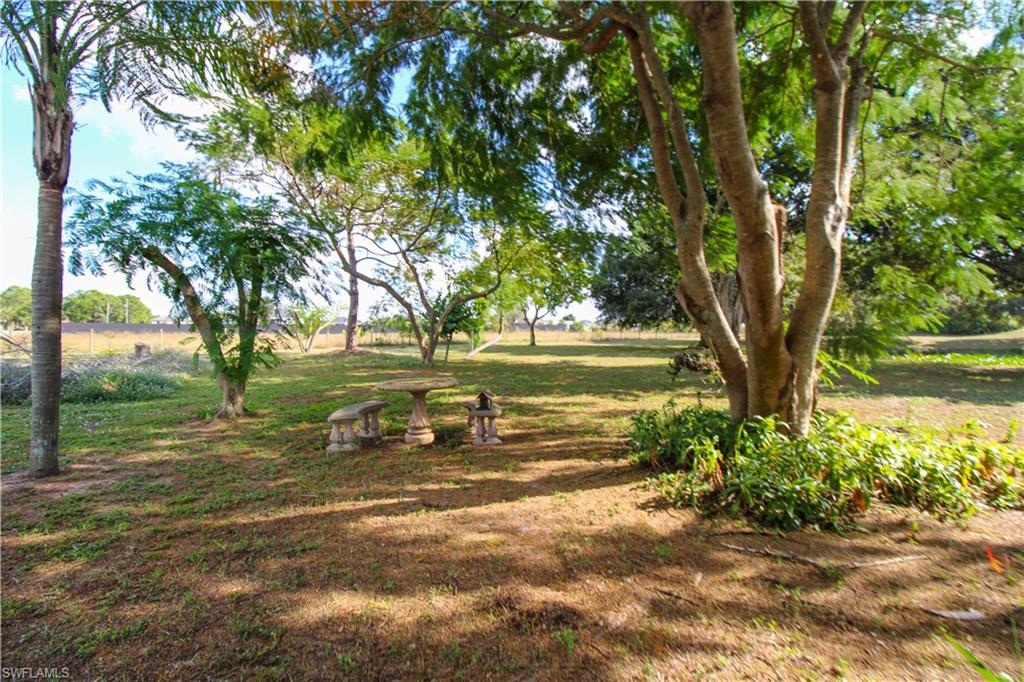 3935 70th Avenue Northeast Naples, FL 34120 - Photo 4 of 50 a view of a yard with an tree