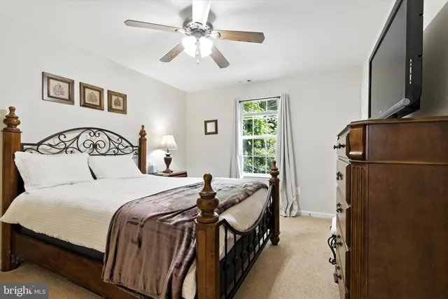 a bedroom with a bed a couch and a window