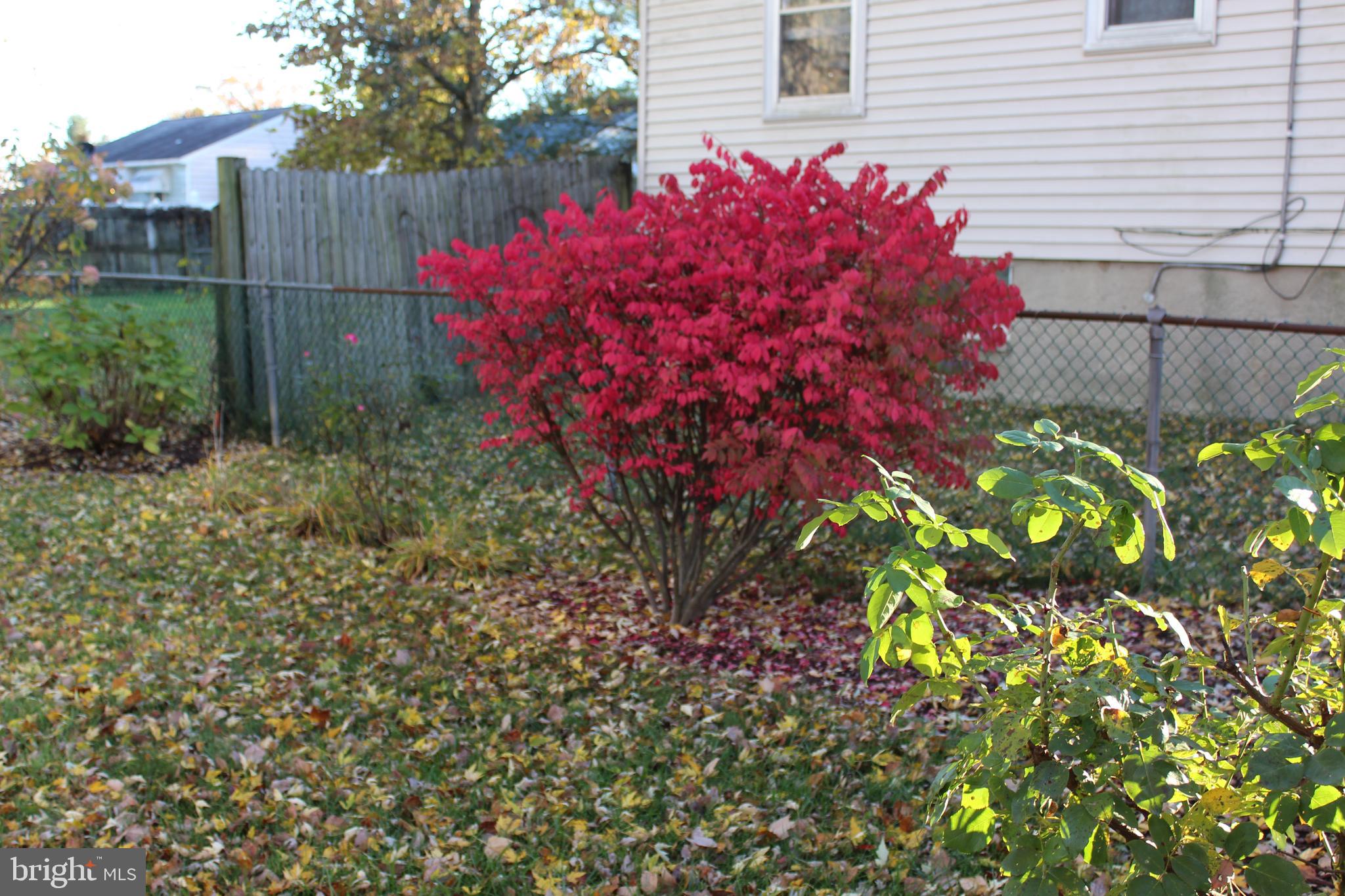 6807 Windsor Mill Road Baltimore, MD 21207 - Photo 21 of 21